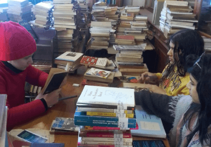 Manos a la obra: las prácticas profesionalizantes